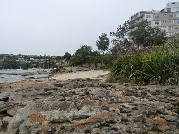 Album - Ferry - Manly