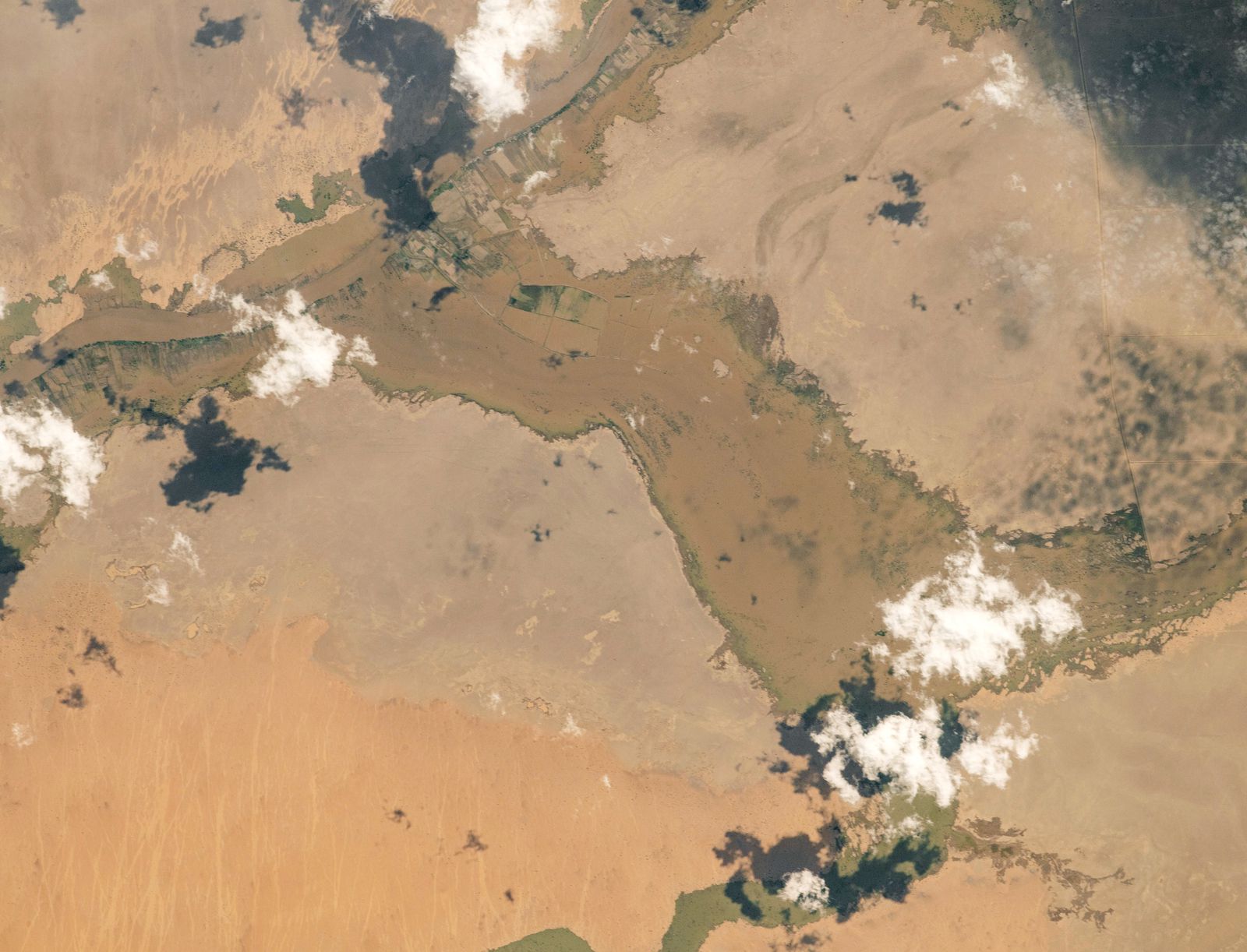 Das Überflutungsgebiet des Atbara (Schwarzer Nil) rund um die Stadt Adarma Quelle: NASA Earth Observatory  
