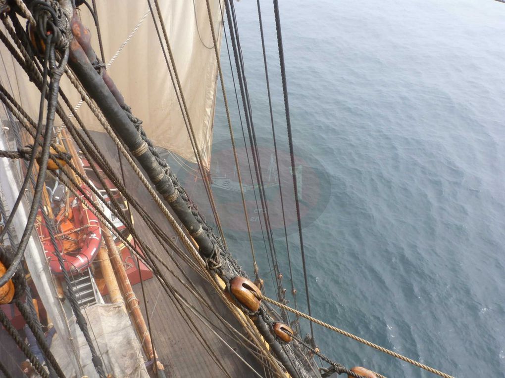 Voici les dix jours durant lesquels nous avons navigué vers Rouen et son Armada. Faisant route plus vite que prévu, nous passerons une demi journée devant l'Ile de Wight et une autre à l'ancre, à l'entrée de la Seine.