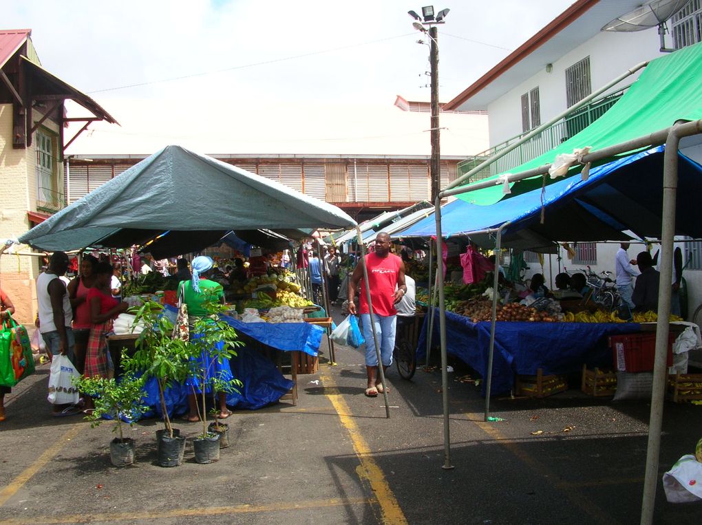 Album - 14-Guyane