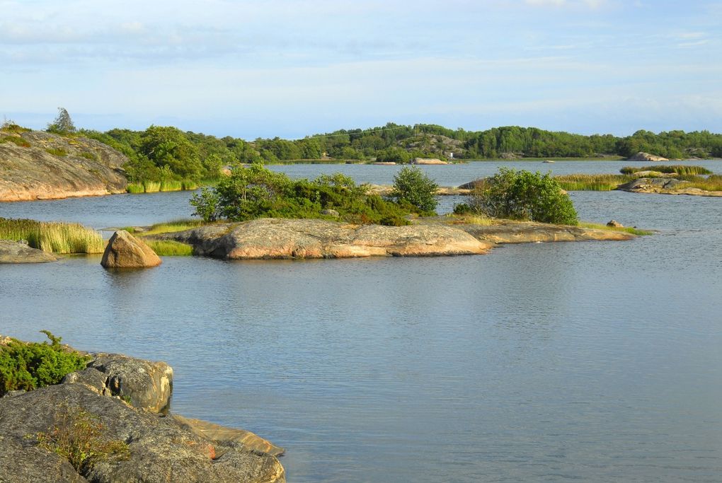 les vacances des mulots aux Aland en 2008