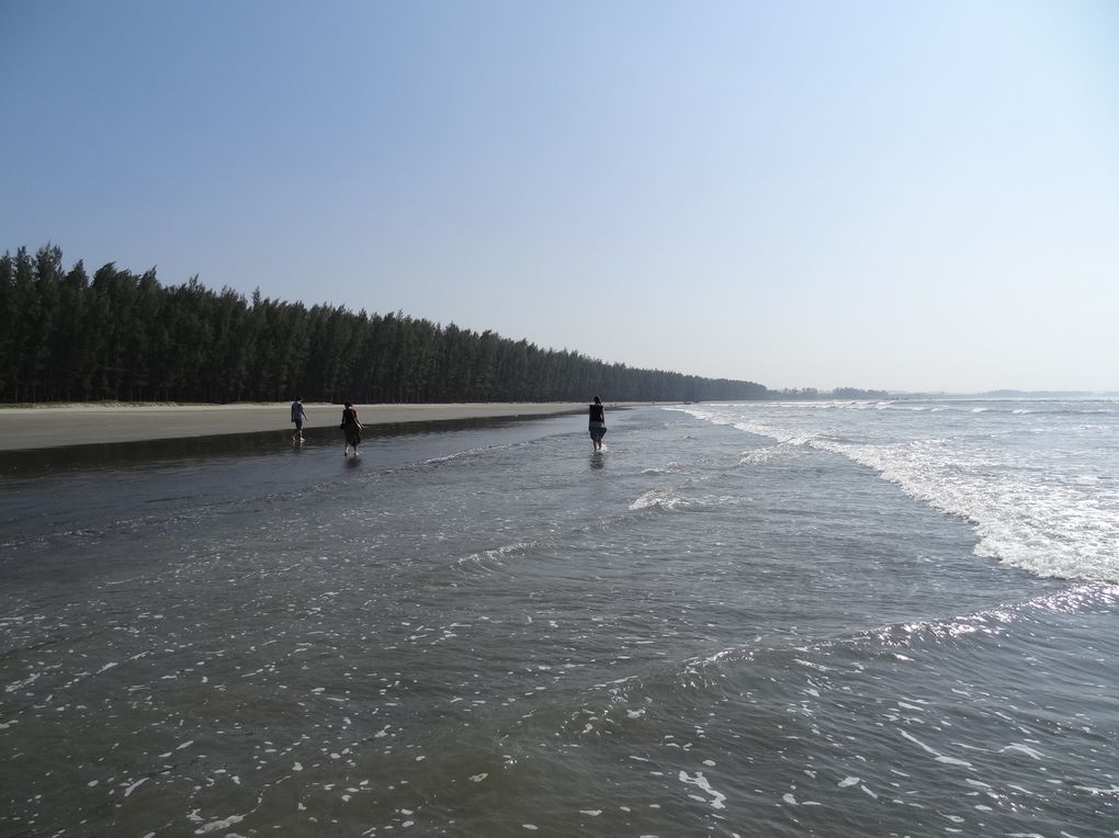 Photos de Cox's Bazar, plage la plus longue du monde (120Km)!