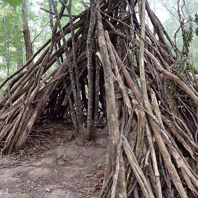 Dans les bois, les cabanes ....