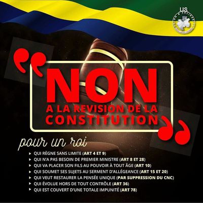 #Gabon : RÉVISION CONSTITUTIONNELLE : DE QUOI DEVRONT-ILS ETRE RESPONSABLES DEVANT LE PARLEMENT ?