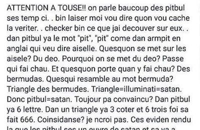 La vérité sur les pitbulls enfin révélée