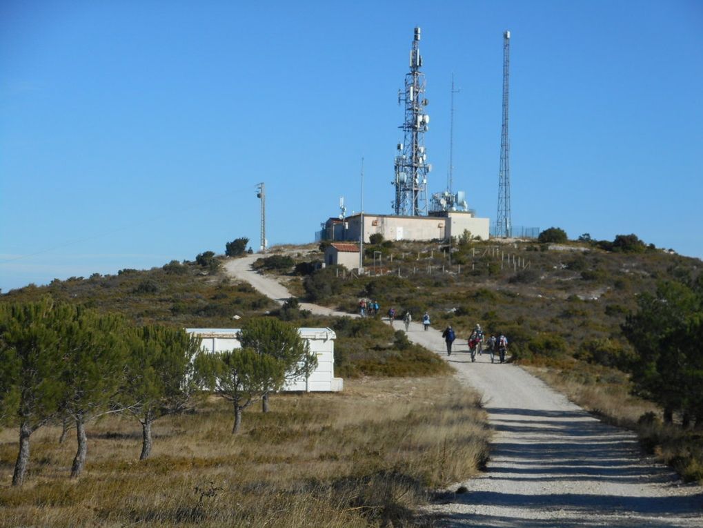 Rando Le Mont du Marseillais 20 Nov.2017