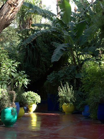 Album - Le-jardin-Majorelle