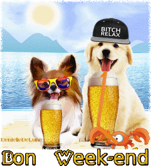 Gif animé humour Bon week-end avec chien papillon et golden retriever  buvant une bière - les gifs animés de dentelledelune