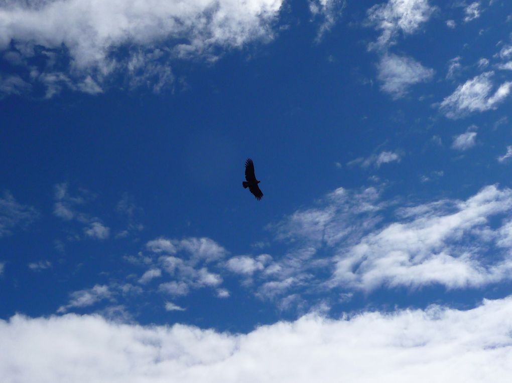 Album - 24- Arequipa-Canyon-de-Colca