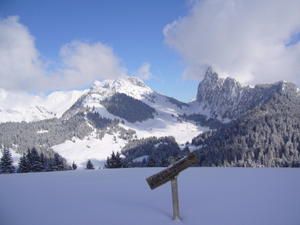 Randonnées en raquettes dans le Chablais, à Abondance et Vacheresse