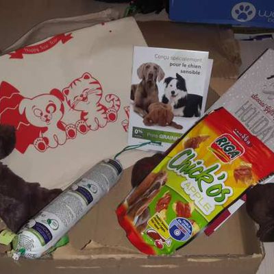 .# Doggybox de Noël !