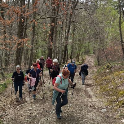 LUNDI 8 AVRIL ; MARCHE DOUCE ; ROCHE LA MOLIERE