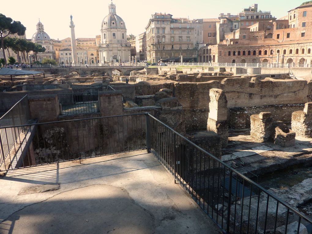 Ce Pèlerinage à Rome a été un moment de prière durand l'année sacerdotale. Il nous a permis de vivre autrement qu'au séminaire, ensemble. Il a été un moment de découverte pour les uns et de redécouverte pour les autres.
Sebastien Séminar