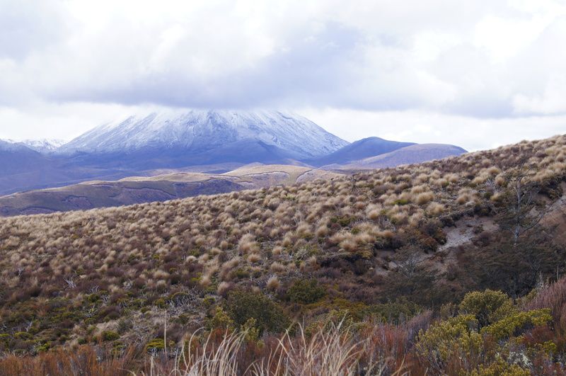 KM 4 507 WHAKAPAPA