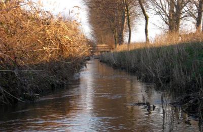 En canoë sur L'Ehn