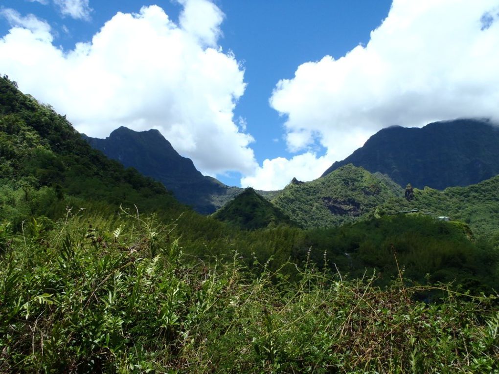Ballade au creux de la vallée de Tahiti, jusqu'au sommet (ou presque...) dans le cœur de l'île !