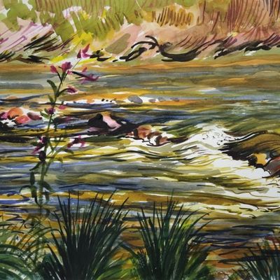 Stages Aquarelle en liberté 2026