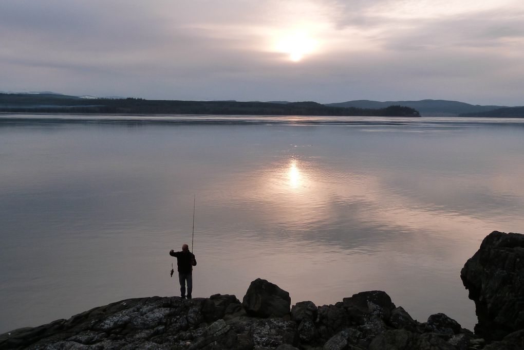 Album - Quadra island