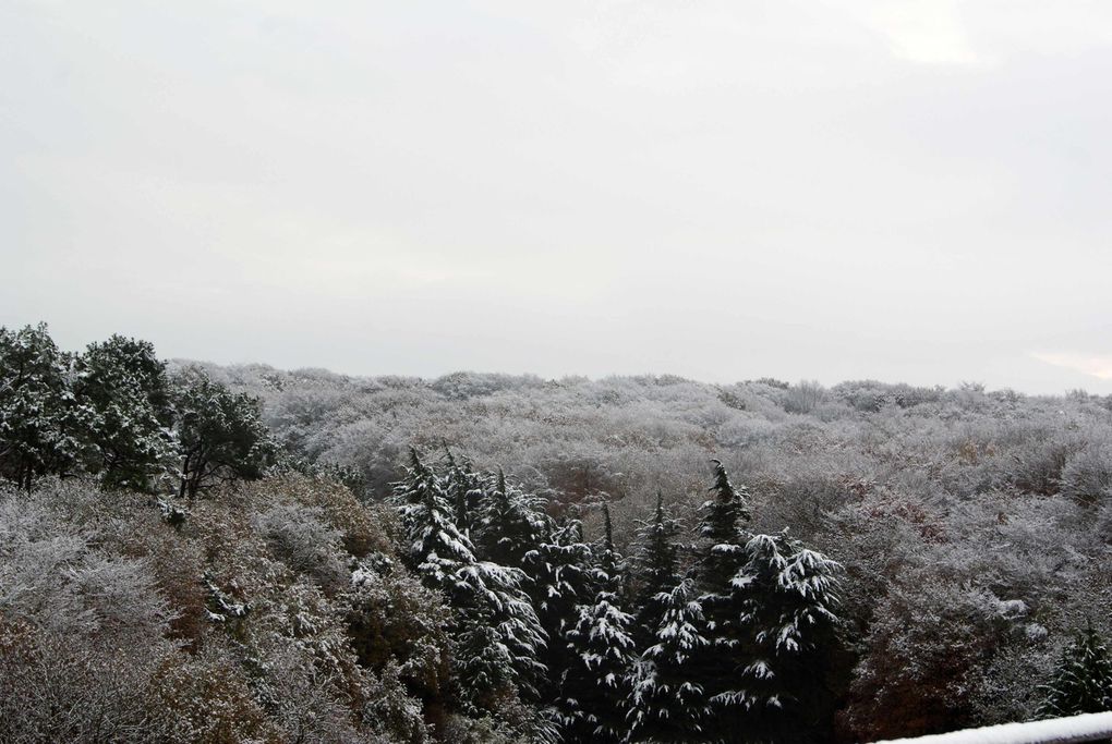 reportage photo de la neige tomber sur le nord cotentin le 27 novembre
2010