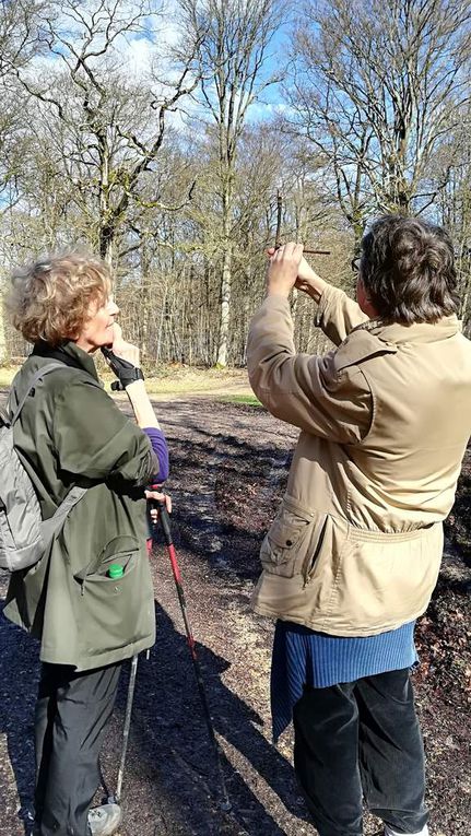 Dimanche 11 Mars, la forêt domaniale de Montceaux.