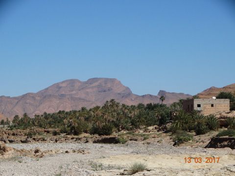 Palmeraie d'Agadir-Lehne