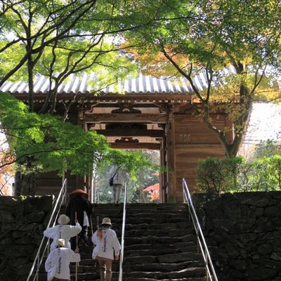 Le pèlerinage de Shikoku, l'un des plus beaux sentiers du Japon