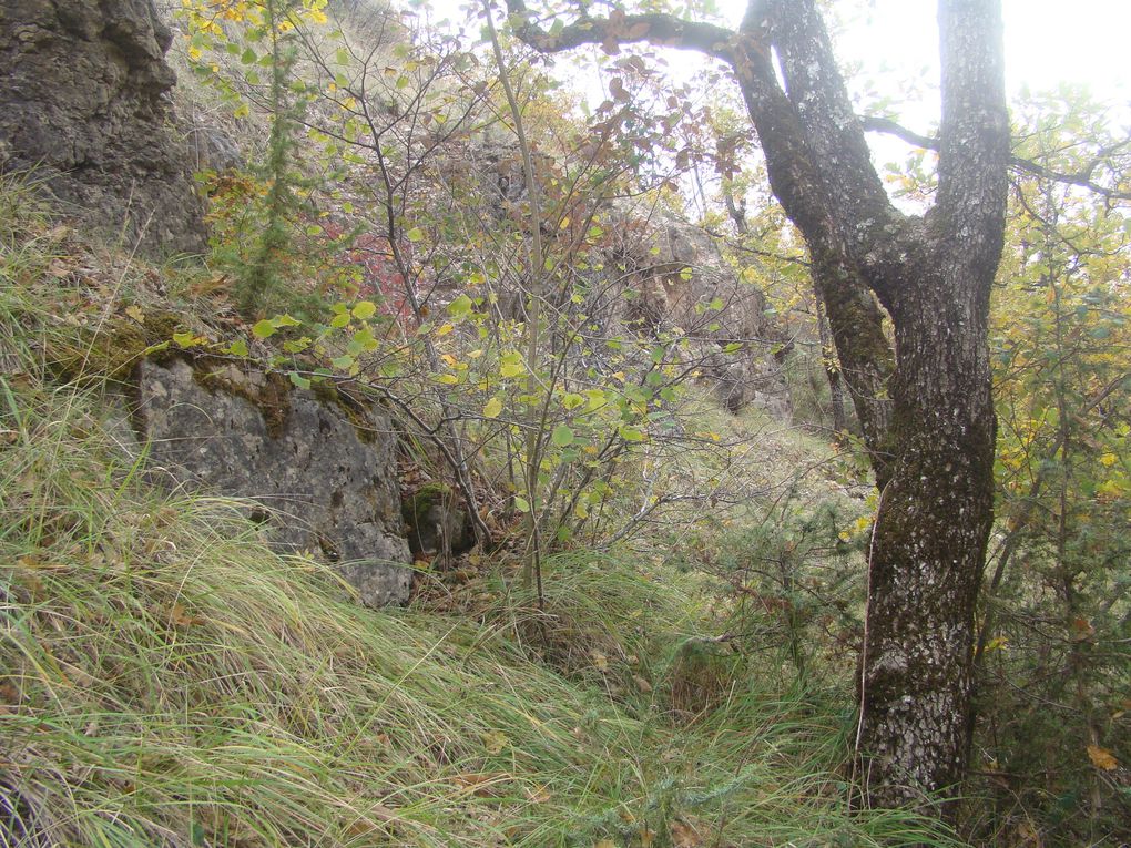 Rando à Clairvaux 22-10-2020