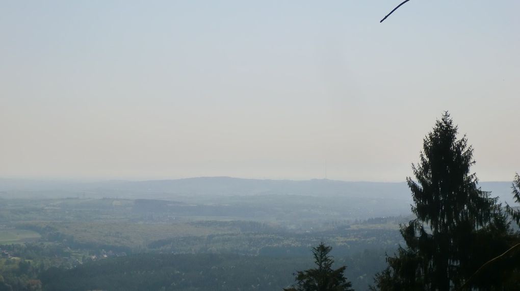 Des trouées dans les arbres permettent une superbe vue sur les vergers de la Sommerau. Et dire qu'on y a évité de peu le fameux golf!!!