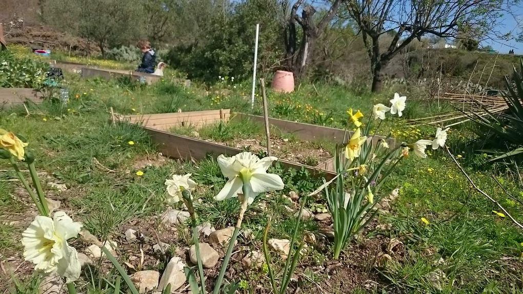 Le bonheur est au potager