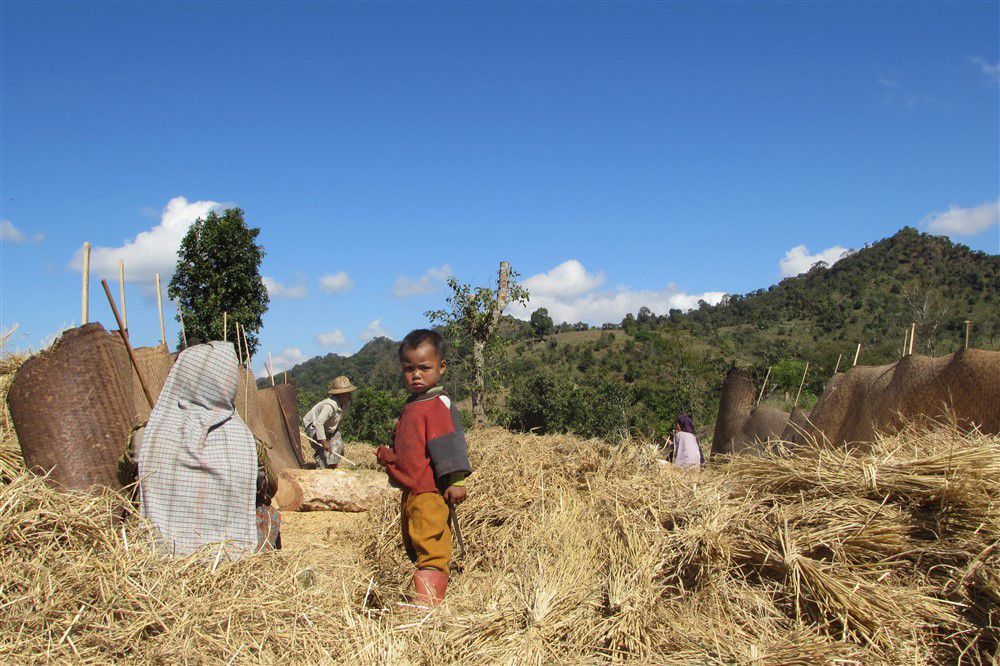 Trek autour de Kalaw