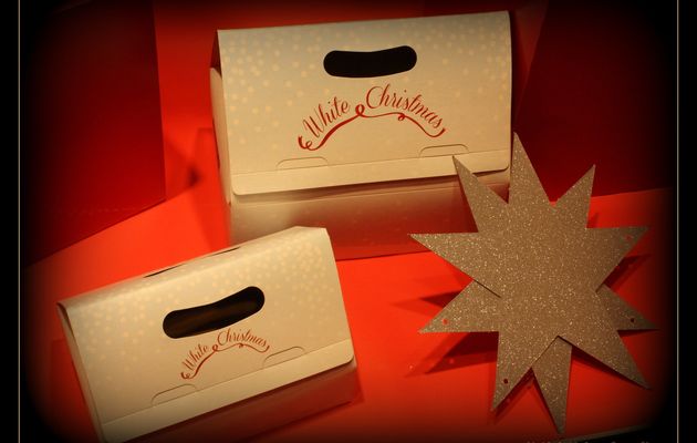 Noël : un Rêve Extraordinaire...