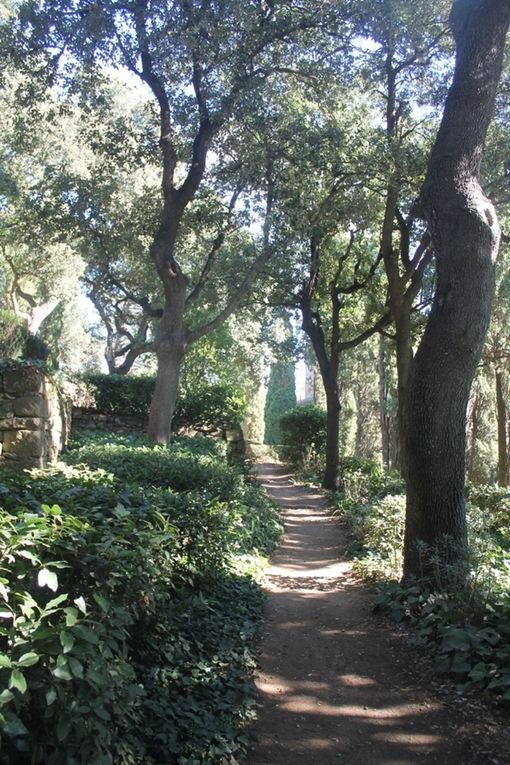 Sur le chemin du retour, l'abbaye de Fontfroide