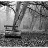 Banc d'automne