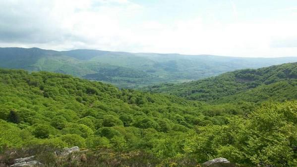 2007-09-14 Cantal - ALBUM