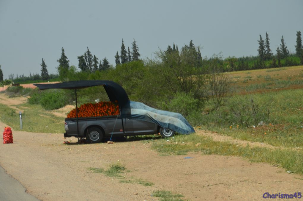 Sur la route de Meknès (Maroc en camping-car)