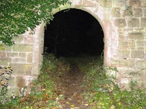 Après quelques tours dans la forêt, la ruine du Guirbaden.