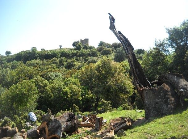 photos diverses de mon village