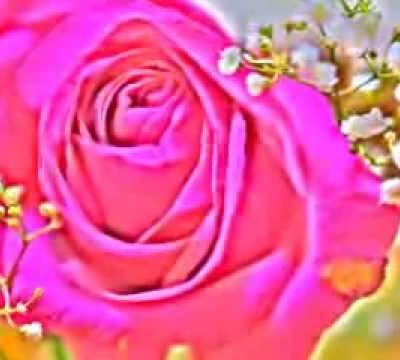 Bonne Année 1er Janvier 2018 