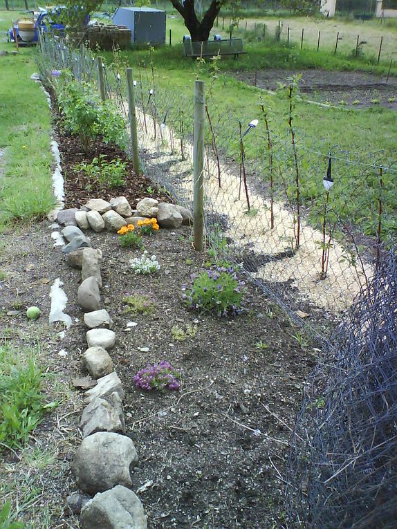 la nouvelle vie du jardin en avril 2011