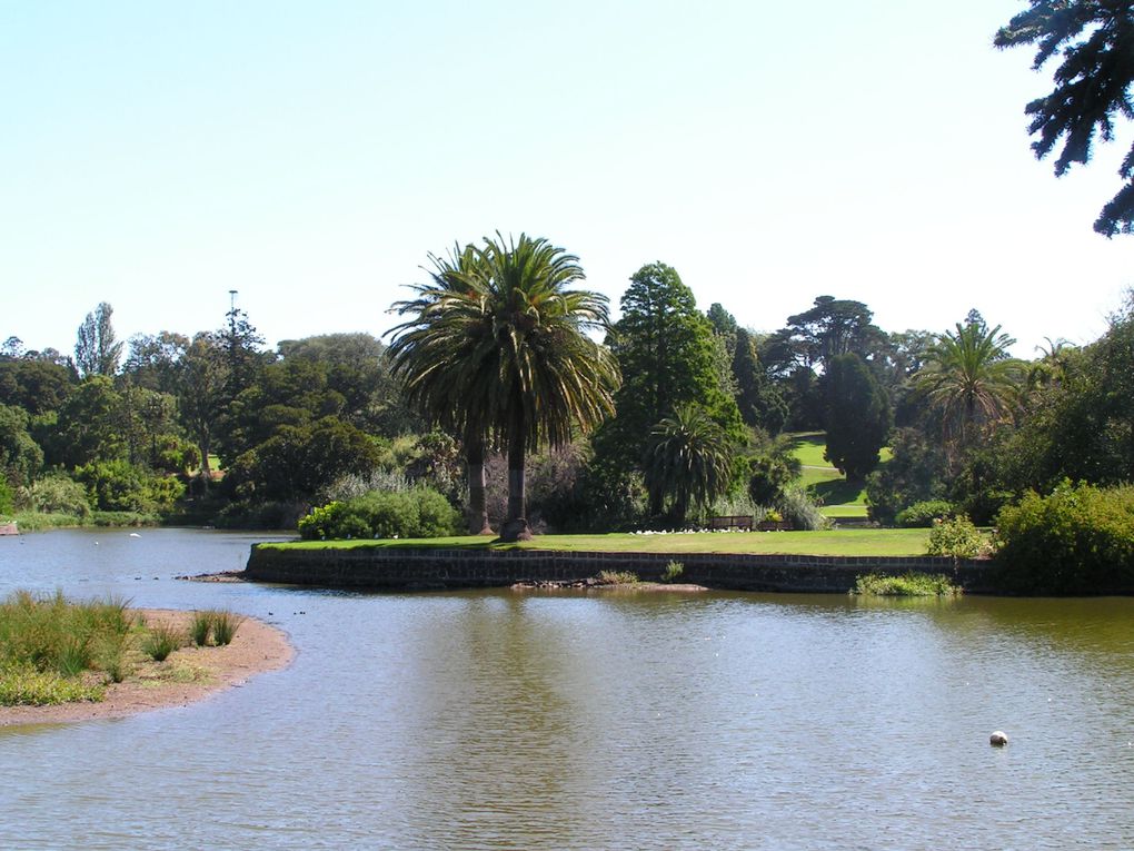 Album - Melbourne-Botanical-Garden