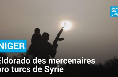 Vidéo. Le Niger, nouvel eldorado des mercenaires pro turcs de Syrie