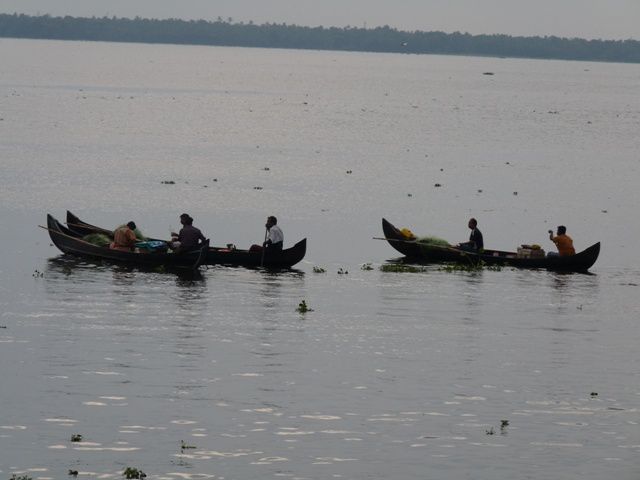 Album - INDE (Kerala Backwaters 1)