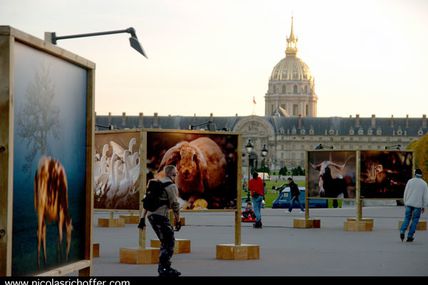 Les slalomeurs des Invalides