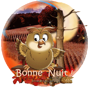 Gif animé bonne nuit - chouette - décor automne - les gifs animés de  dentelledelune