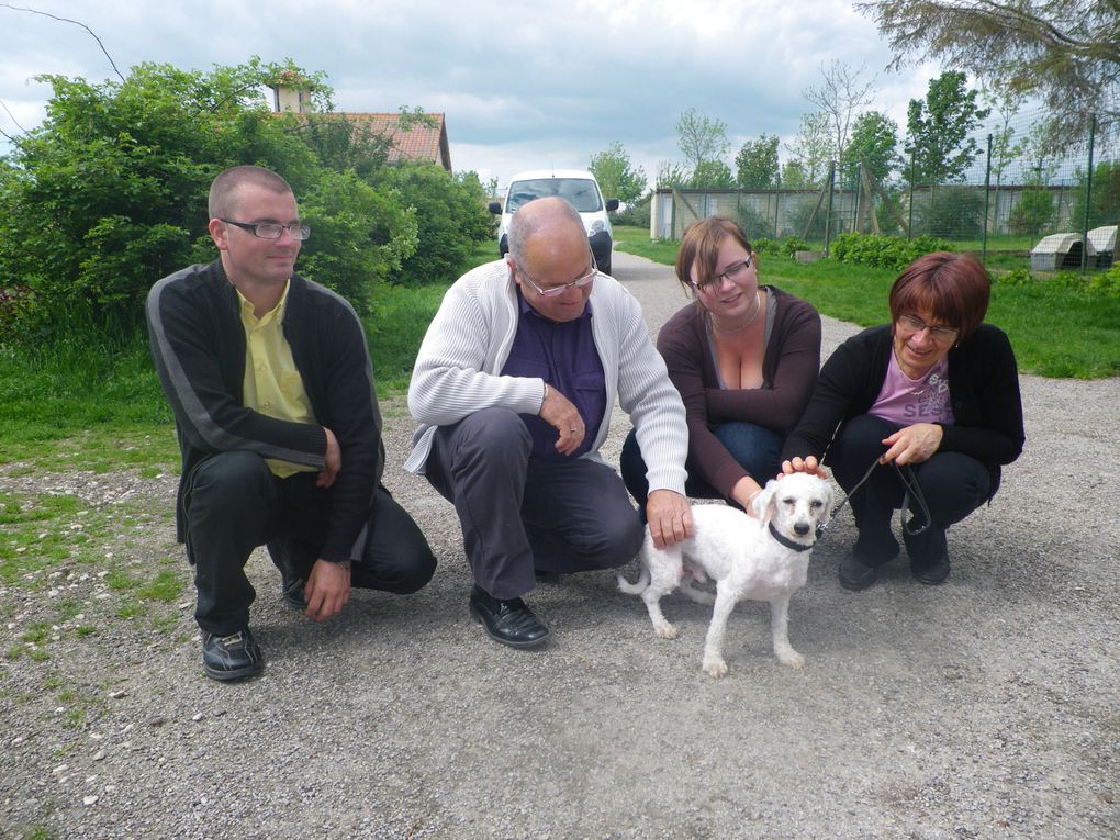 Album - CHIENS-ADOPTES-mai-juin-juillet-2012