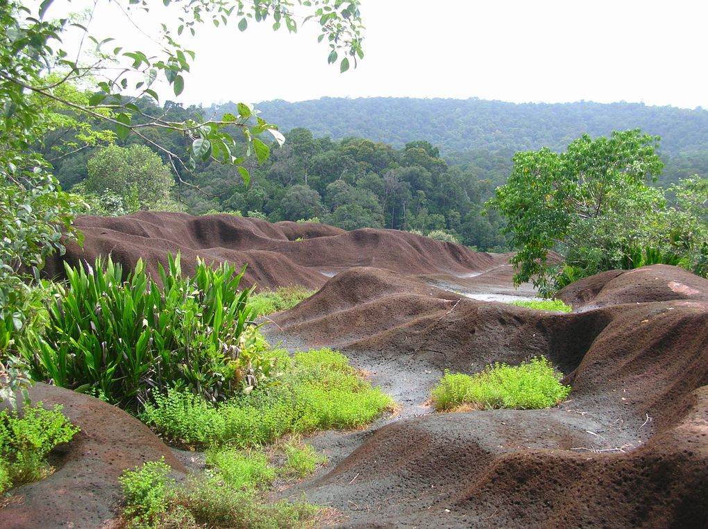 Album - 14-Guyane