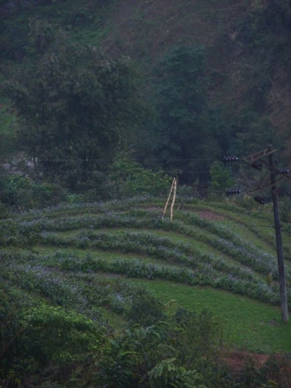 Nord du nord du nord du Vietnam :)
Sapa, c'est sympa, mais sa-pele !