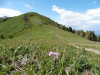 L'approche du Grand Chat. Depuis le cairn du sommet, le massif des Bauges.