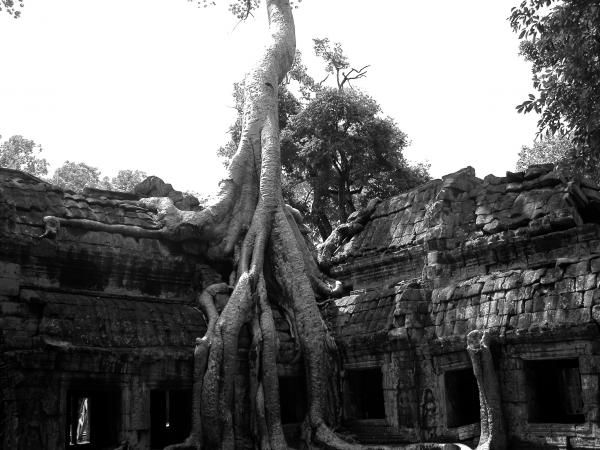 Juillet - Aout 2005
Voyage en Thailande, au Laos et au Cambodge