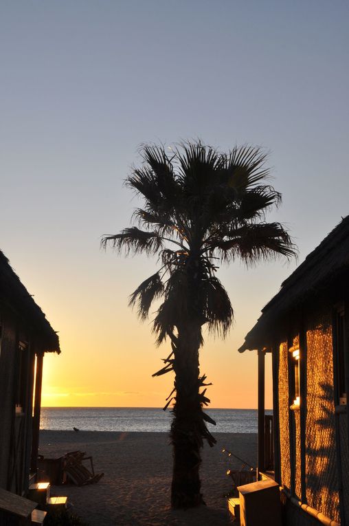 Voyage fabuleux et surnaturel dans la République du Kon Tiki... Village polynésien à 3km de St Tropez.
De notre hutte plantée sur la plage, à l'ombre des palmiers, nous avons vécu ces vacances de Pâques 2012 comme un rêve éveillé.